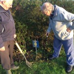 Ian and Richard planting Crocuses